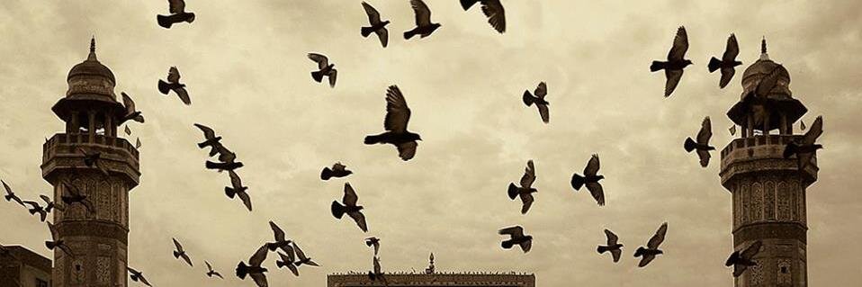 SayedMo45760822's profile banner image