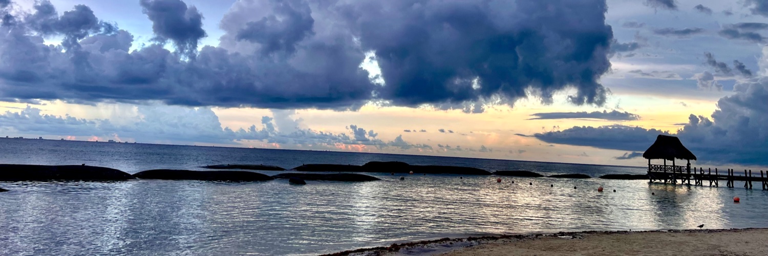 Andrew Fleming banner