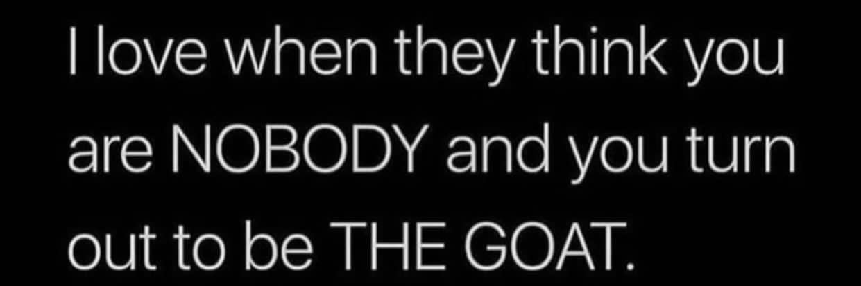 International Pappi banner