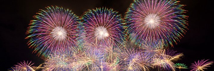 ぎょぴちゃん banner