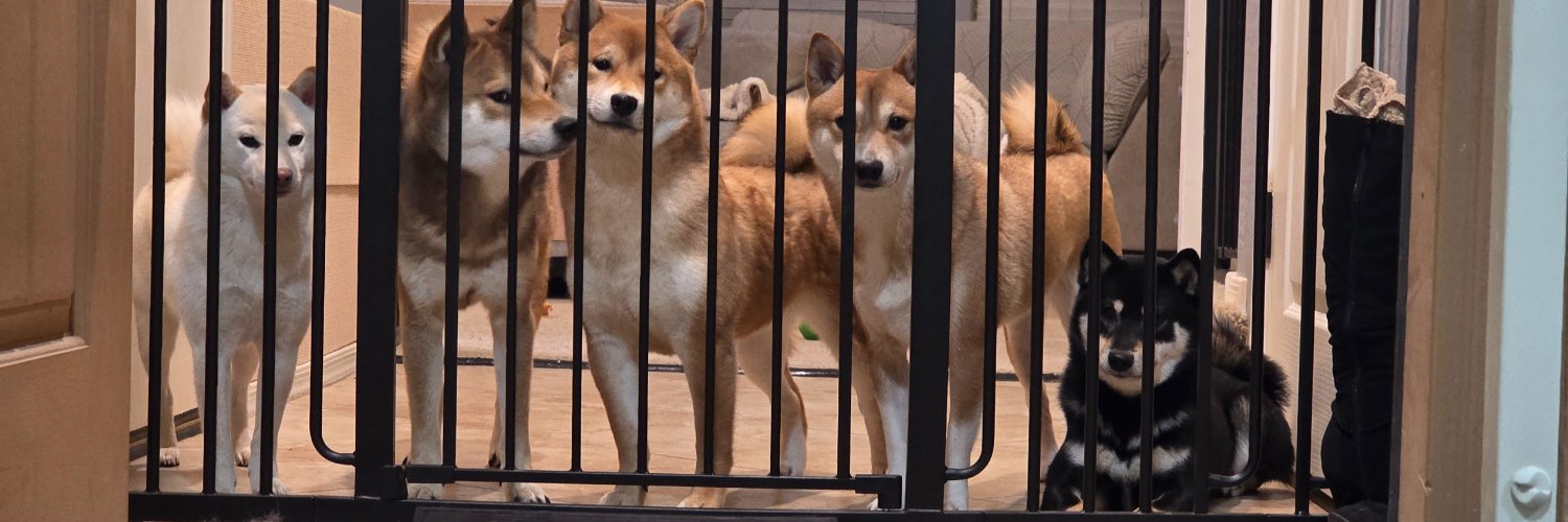 Hello Kitty Baby banner