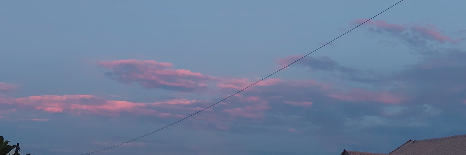 chiiisaitsu's profile banner image