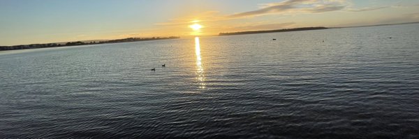 tan_a23 Profile Banner