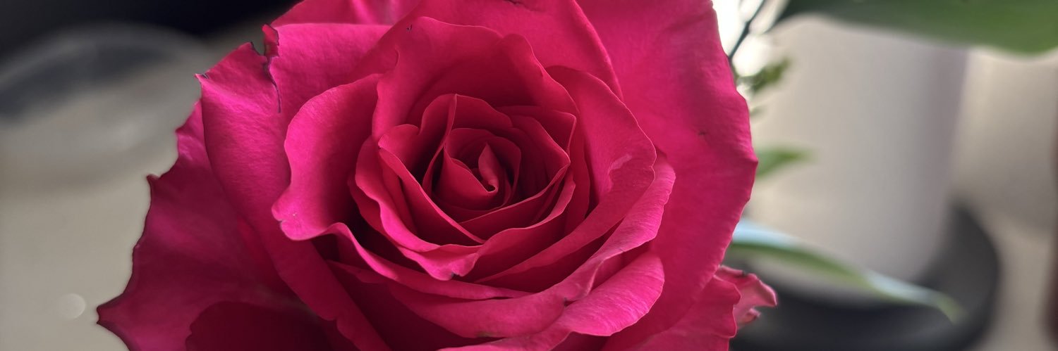 KC_2121_'s profile banner image