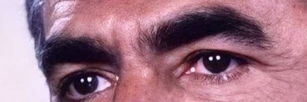 LittleMaxwell🇮🇷 banner