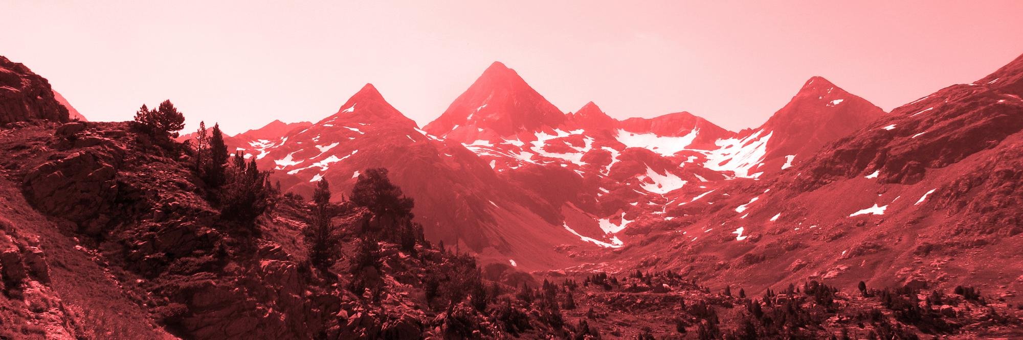 missburp's profile banner image