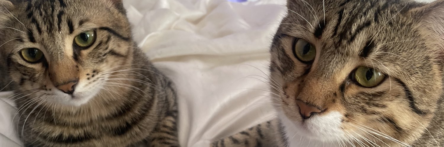 Tulayskittens's profile banner image