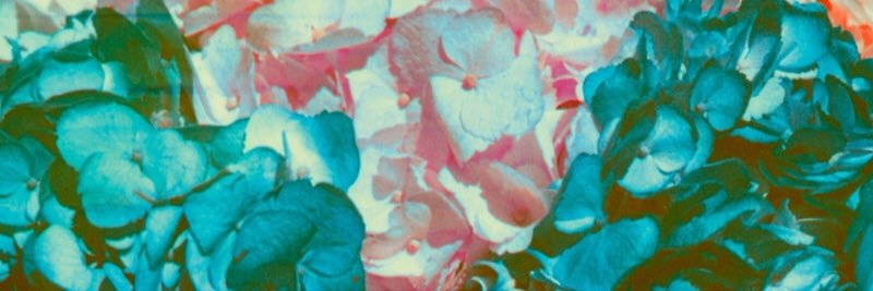 VirgoDyl's profile banner image