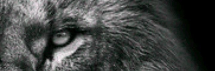 amJakande's profile banner image