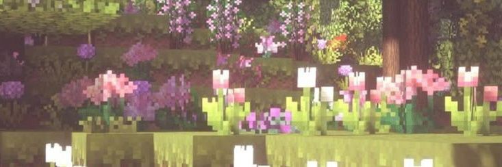 louppy 🍀 banner