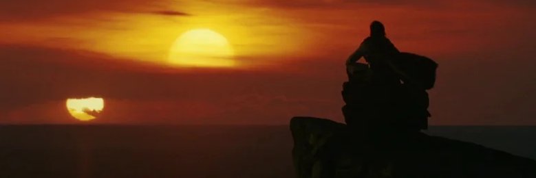 Luke Flyswatter banner