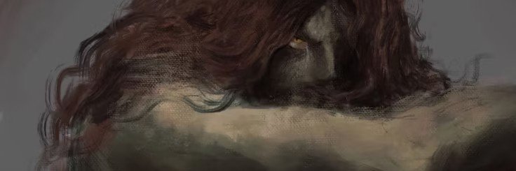 inkapoops's profile banner image