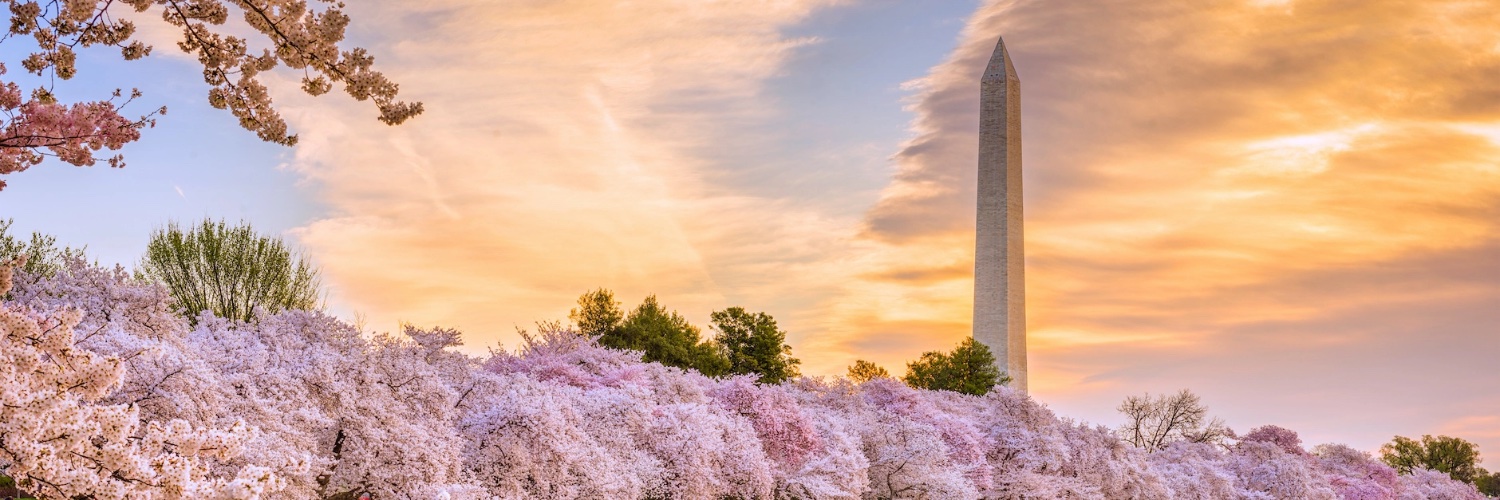 Elizabeth Dunbar banner