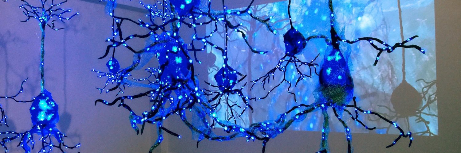 Kindra Crick 🧩🧠🧬 banner