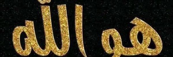 OVO195789 Profile Banner