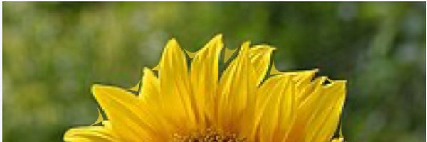 Jun308520 Profile Banner