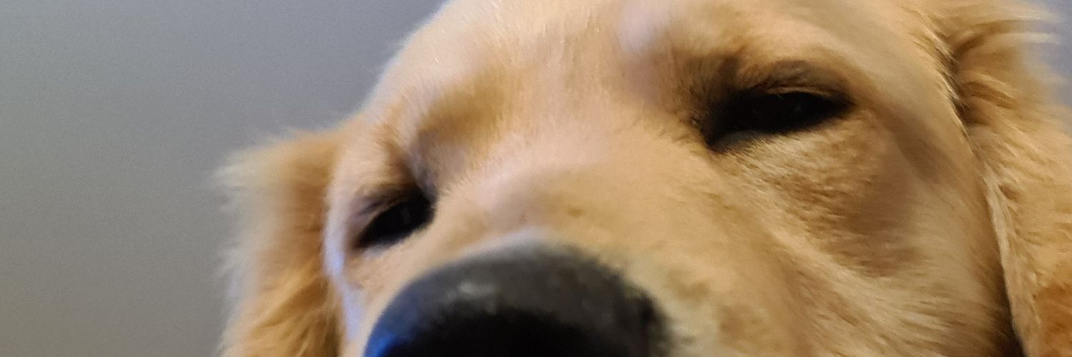 mariitole's profile banner image
