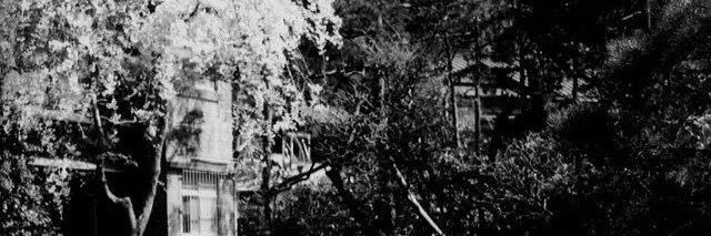 Dddde banner