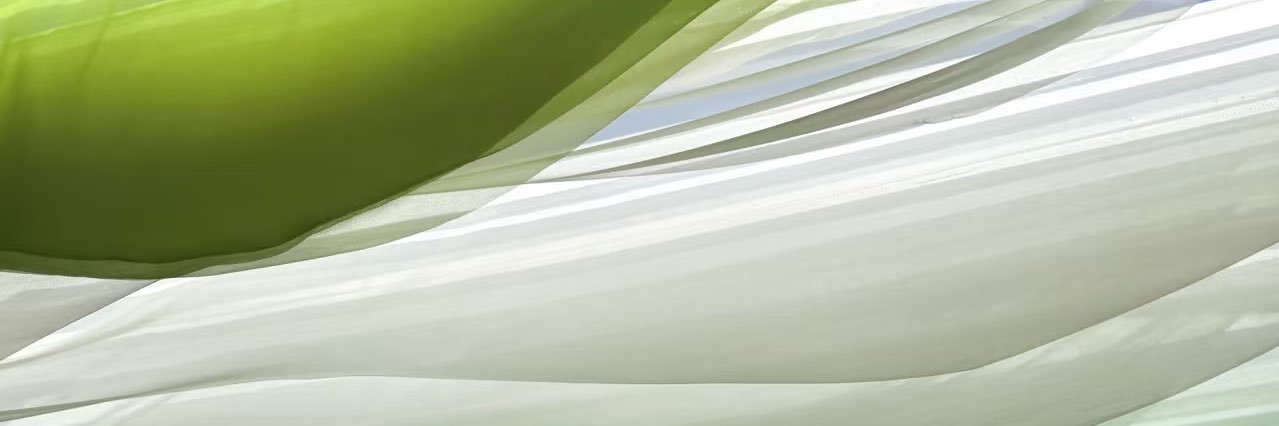 LindaBe9977's profile banner image