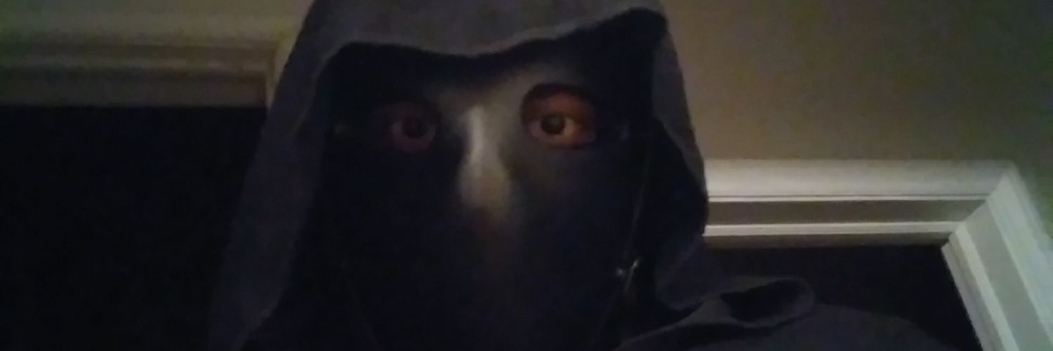 HolyRaiden's profile banner image