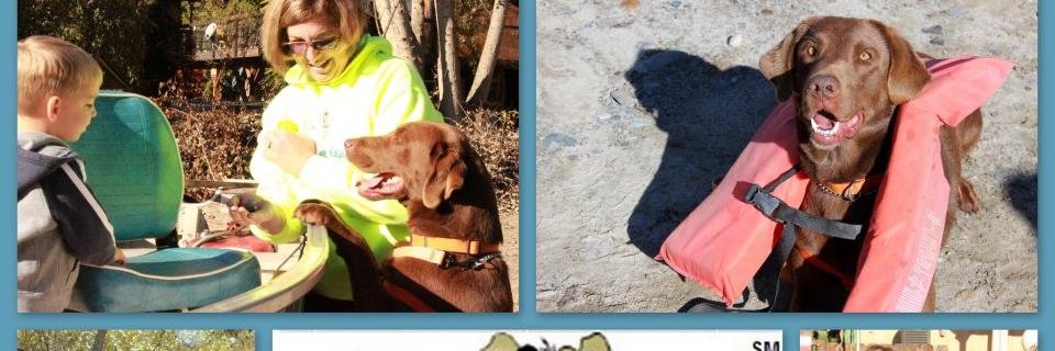musseldogs's profile banner image
