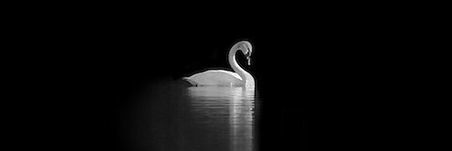 Permata Firani banner