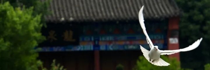 czy048920's profile banner image