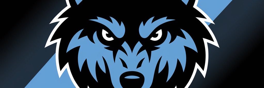 Wolverines RFC banner