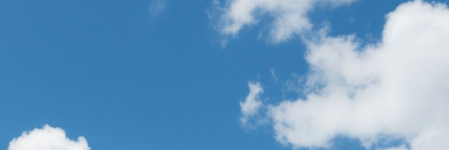 Sniffyournails banner