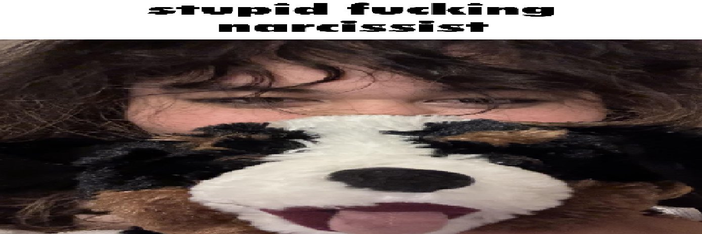 Renee🦴🐶 banner