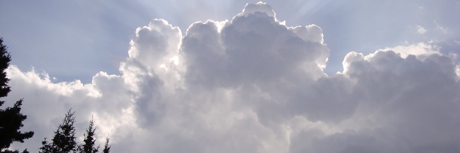 Sheila Stewart banner