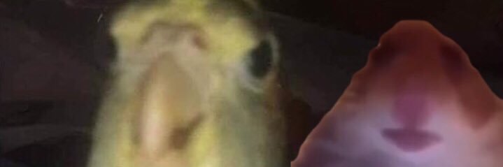 andreslolz's profile banner image