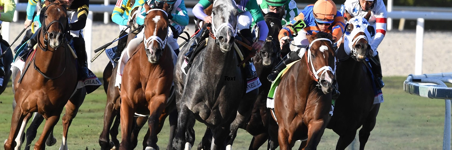 Thoroughbred Racing Initiative's banner