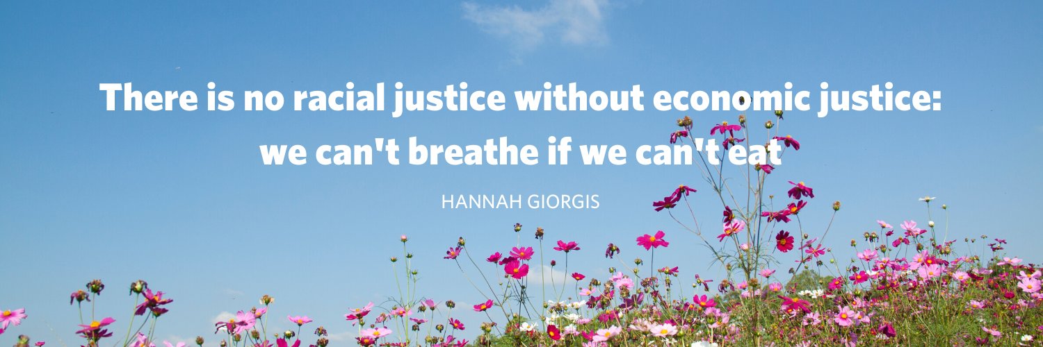 Canadian Community Economic Development Network banner