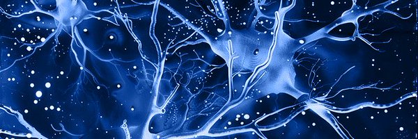 Neuromorphichub Profile Banner