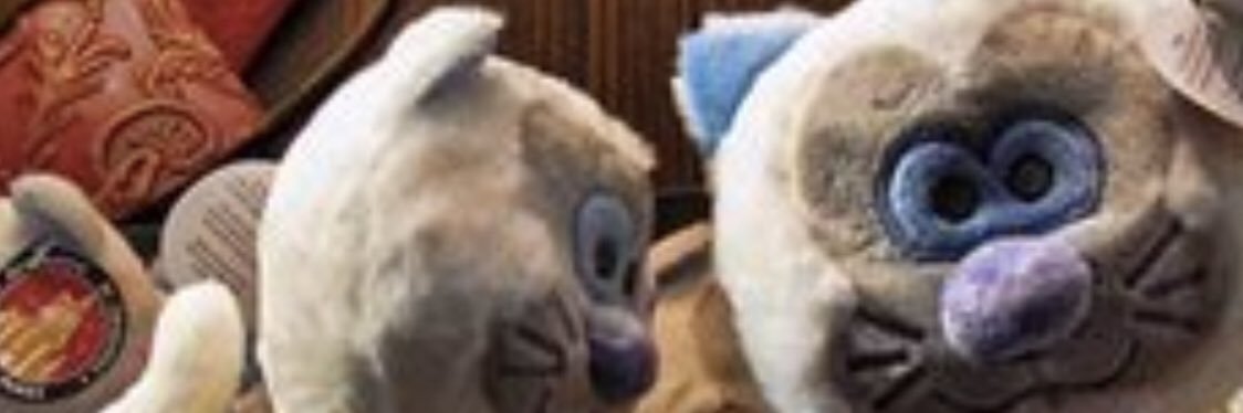heicktweets's profile banner image