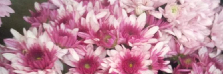 CMakutwa's profile banner image