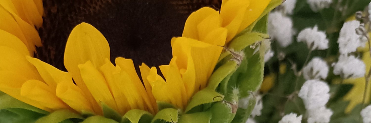 eos_777's profile banner image