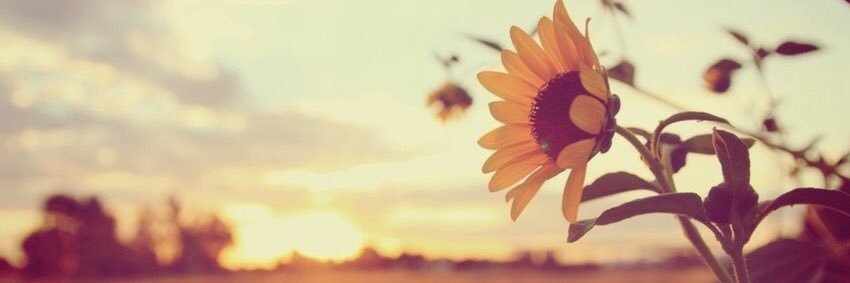Krys_1994's profile banner image