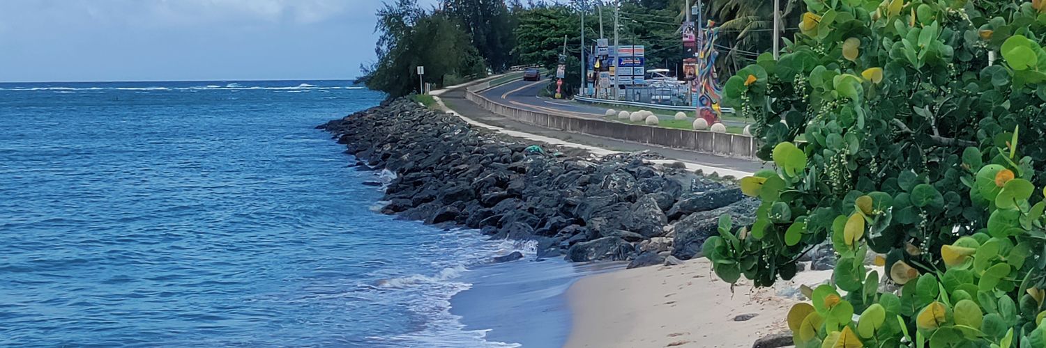 🍃 Carmurris 🐾 banner