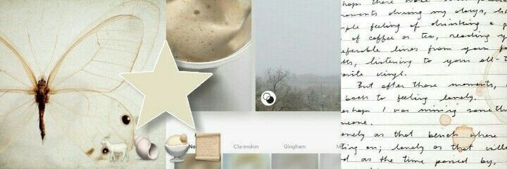 ⭑𝑙udwig banner