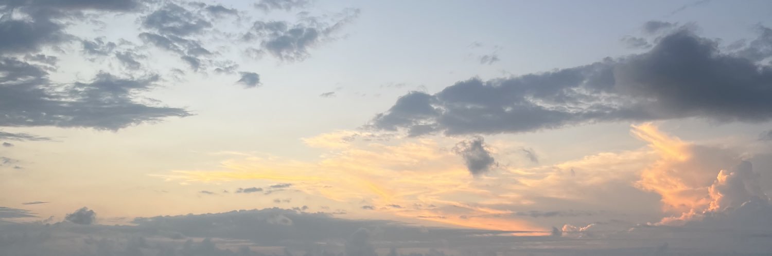 LpFxS's profile banner image