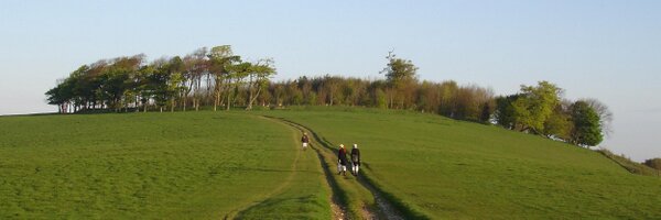 Chanctonbury Ring MM Profile Banner