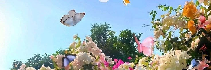asmalshaikh's profile banner image