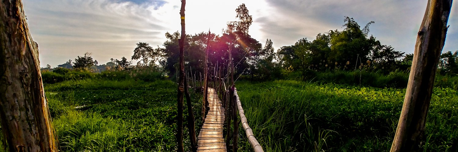 Michel Baljet banner