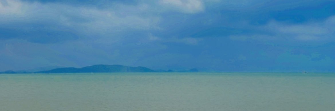 Tiger&Ava banner