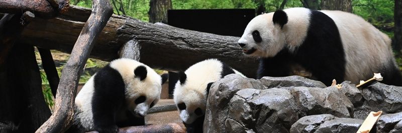 pinpin561007's profile banner image