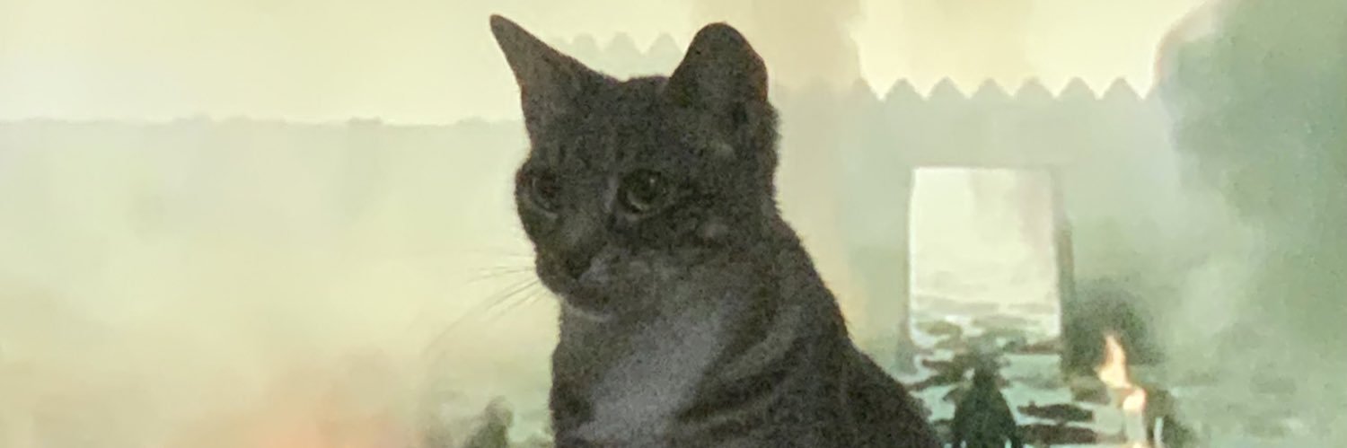 LaughingNJ's profile banner image