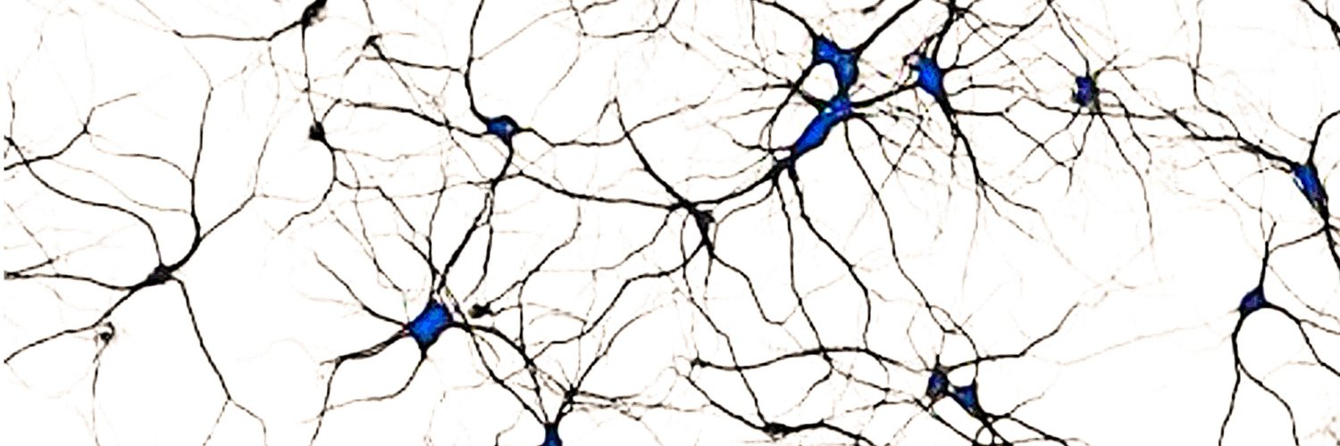 Tatiana Emelianova banner