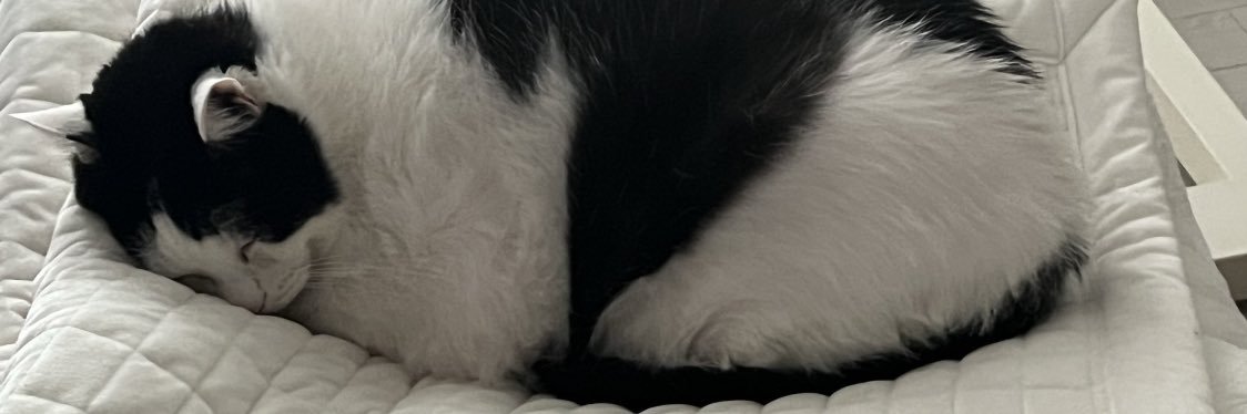 pp_or banner